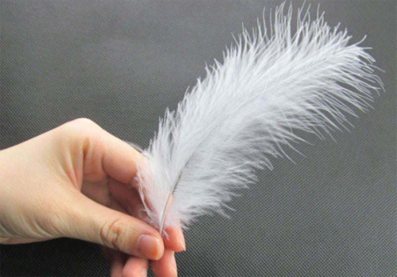 TBUY ROSE 3.5-6 inch 9-15cm Colorful Ostrich Feathers for DIY Dream Catchers Crafts Bulk Feathers Assorted Colors Home Decoration DIY Craft (300 Pack) - Image 3